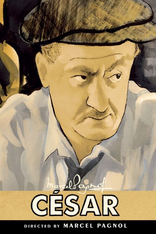 سزار